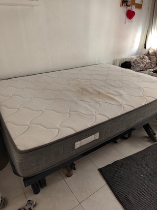 Cama
