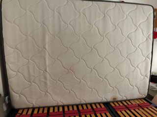 Cama
