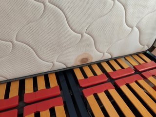 Cama