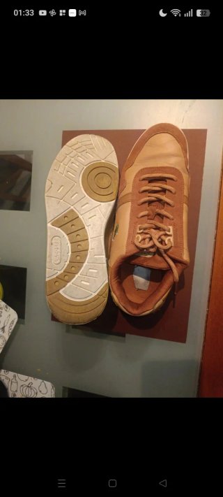 Scarpe Lacoste Beige/Marrone