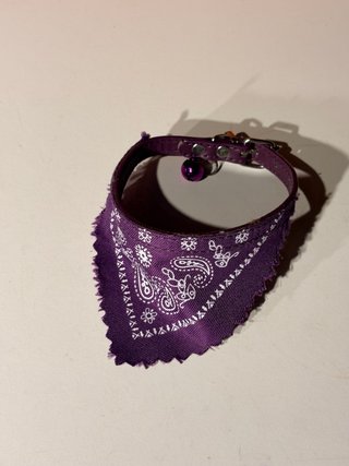 Collar para perro con bandana morada