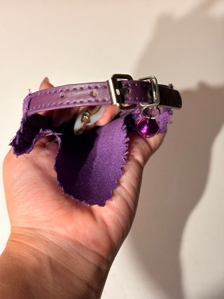 Collar para perro con bandana morada