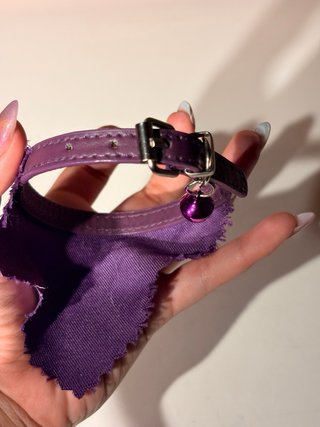 Collar para perro con bandana morada