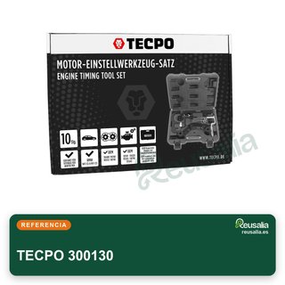 TECPO 300130 Juego herramientas ajuste motor BMW