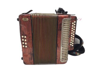 acordeon hohner mester