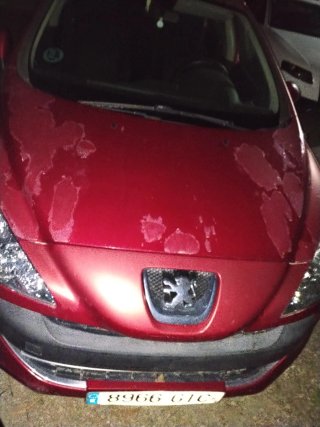 Peugeot 308 2010