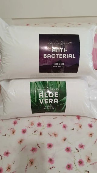 Coppia Cuscini Aloe Vera & Antibatterico