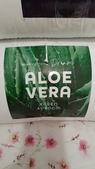 Coppia Cuscini Aloe Vera & Antibatterico