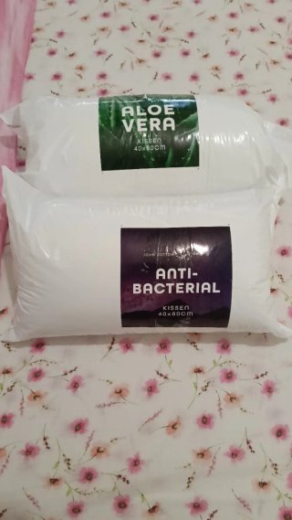 Coppia Cuscini Aloe Vera & Antibatterico