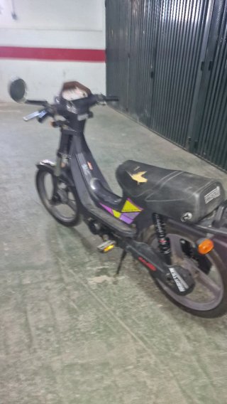 Derbi Variant top