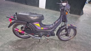 Derbi Variant top