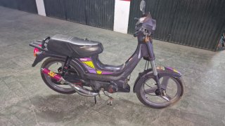 Derbi Variant top