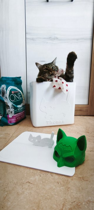 Kit para Gatos Personalizado Caja + Cepillo + Pala