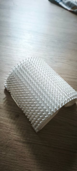 Kit para Gatos Personalizado Caja + Cepillo + Pala