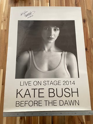Póster Kate Bush Gira 2014 Before The Dawn