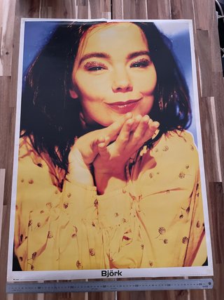 Póster Björk 90s Original LP0065
