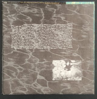 Disco Nirvana Nevermind