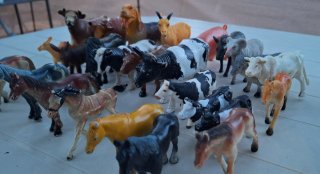 Lote animales de granja