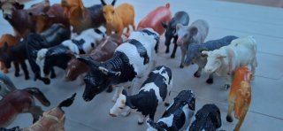 Lote animales de granja