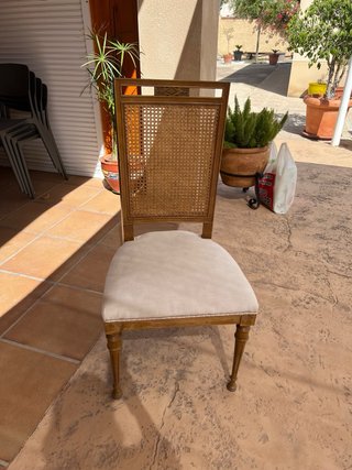 Set di 5 sedie da pranzo con schienale a griglia
