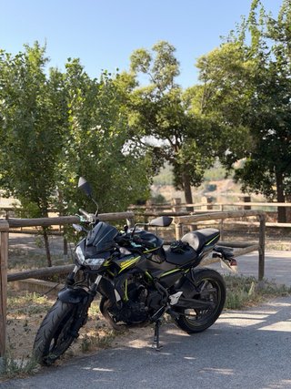 Kawasaki Z650 Negra y Verde