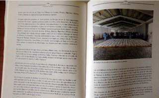 ORIGEN Y EVOLUCIÓN DEL PUERTO DE BARBATE