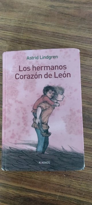 Novela juvenil