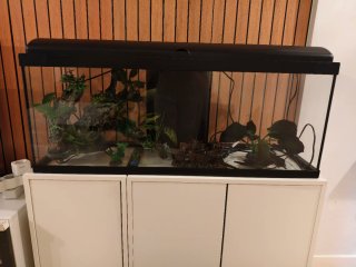 Acuario 120L listo para usar
