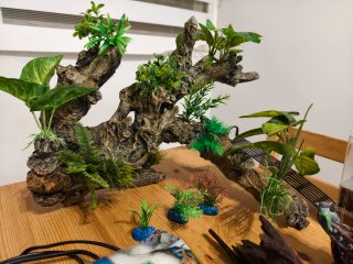 Acuario 120L listo para usar