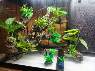 Acuario 120L listo para usar