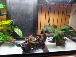 Acuario 120L listo para usar
