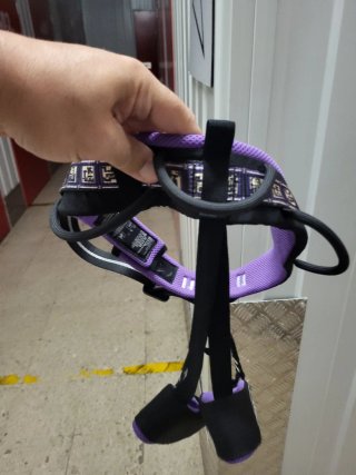 Arnés escalada Beal Mujer Morado