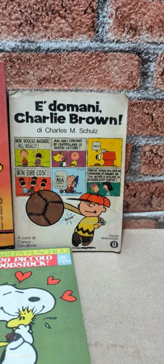 Lotto 6 Libri Peanuts Charles M. Schulz