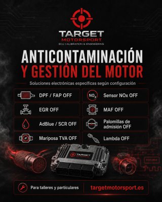 Reprogramación ECU y soluciones electrónicas