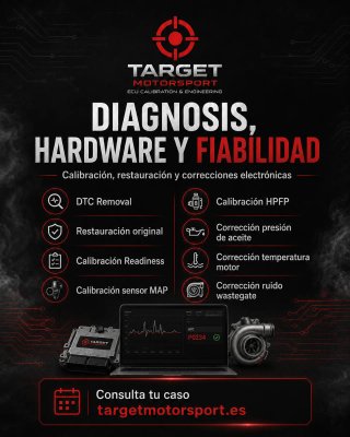 Reprogramación ECU y soluciones electrónicas