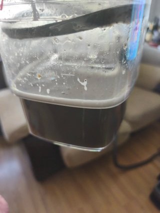 LIMPIEZA DE TAPICERÍA A DOMICILIO