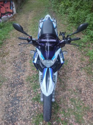 Cúpula Yamaha XT 660 R/X