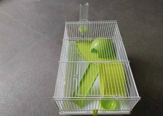 Jaula para hámster con accesorios