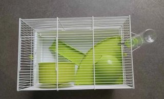 Jaula para hámster con accesorios