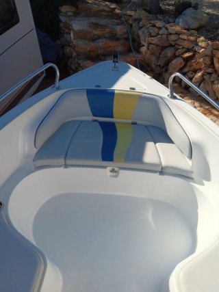 Barco Olympic 460cc con remolque