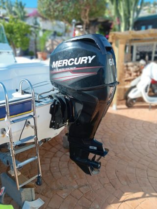 Barco Olympic 460cc con remolque