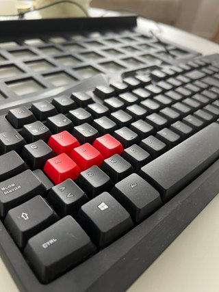 Teclado Gaming Trust Ziva USB con Reposamuñecas