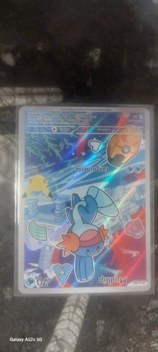 Carte Pokemon Treecko, Torchic, Mudkip 55/56/57