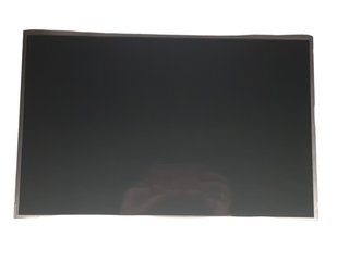 Pantalla portátil Au Optronics B170PW06 V.2 17"