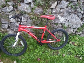 Bicicleta roja infantil