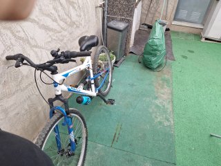 Bicicleta de Montaña