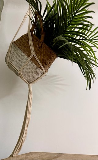Planta con cesto y colgante macramé