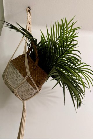 Planta con cesto y colgante macramé