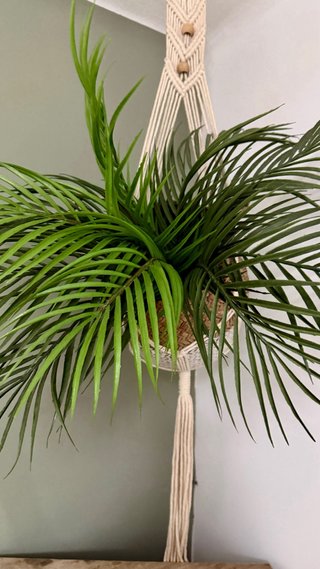 Planta con cesto y colgante macramé