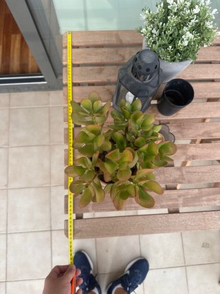 Tavolo e sedie pieghevoli in legno per esterni